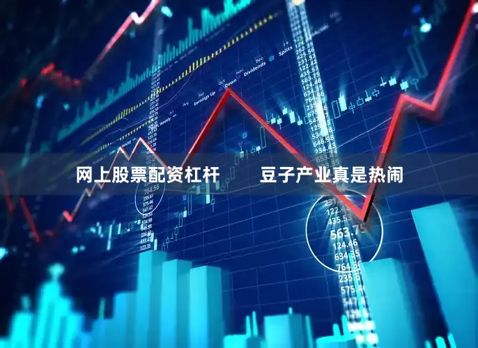 网上股票配资杠杆        豆子产业真是热闹