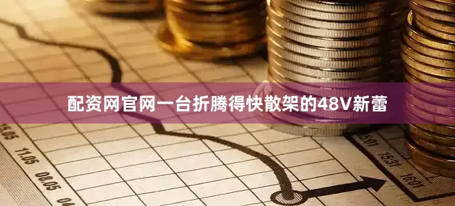 配资网官网一台折腾得快散架的48V新蕾